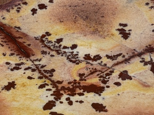 Amazing large owyhee dendritic - large,